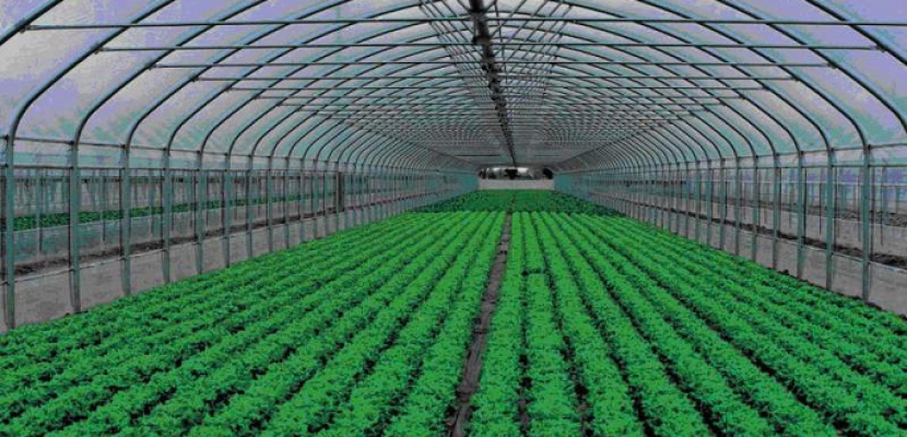 الرئيس السيسى يفتتح اليوم مشروع الصوب الزراعية بالعاشر من رمضان