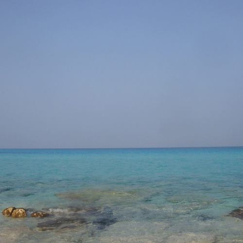 طقس الأربعاء لطيف والحرارة بالإسكندرية 20