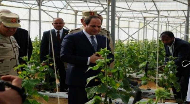 الرئيس السيسي يفتتح اليوم مشروعات الصوب الزراعية في قاعدة محمد نجيب