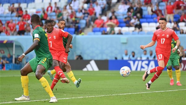 سويسرا تفوز على الكاميرون 1-0 في كأس العالم