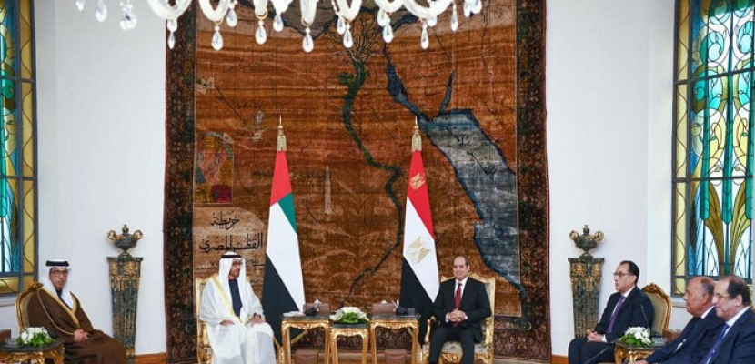 الرئيس السيسي والشيخ محمد بن زايد يبحثان تطوير التعاون في جميع المجالات