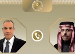 وزيرا خارجية مصر والسعودية يبحثان مستجدات الأوضاع بالمنطقة