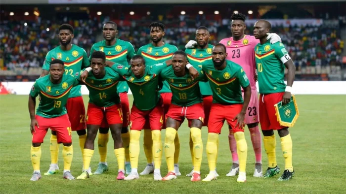 الكاميرون تفوز على الجابون 1-0 في كأس أمم أفريقيا