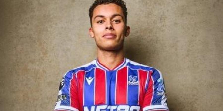 كريستال بالاس يضم جونسون قادماً من توتنهام